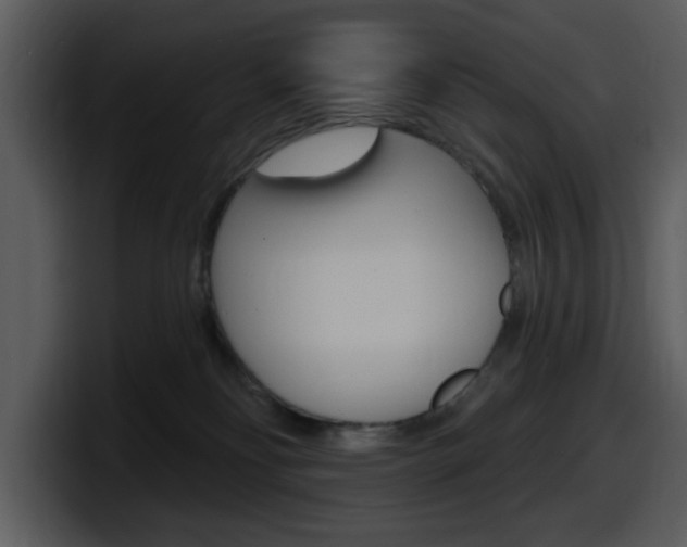 X0000098090134200804040734