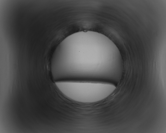 X0000098090135200804040734