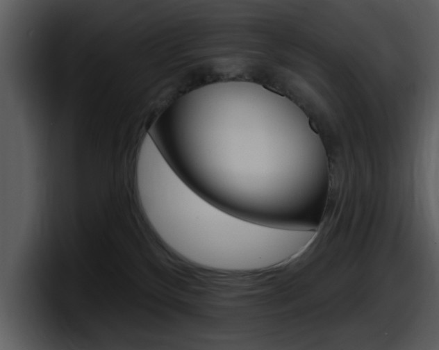 X0000098090136200804040734