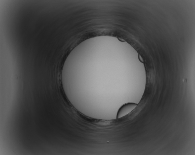 X0000098090138200804040734