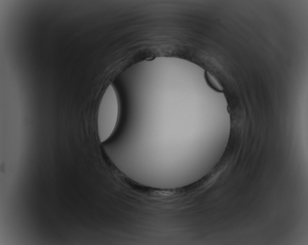 X0000098090139200804040734