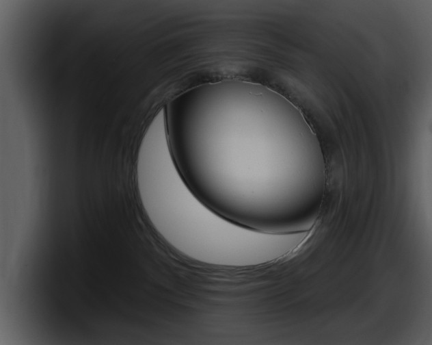 X0000098090140200804040734