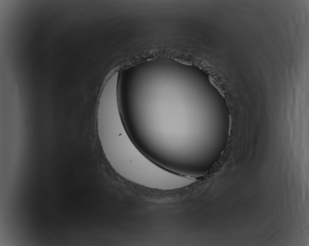 X0000098090144200804040734