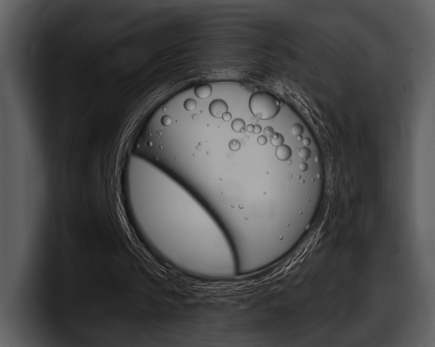 X0000098090145200804040733