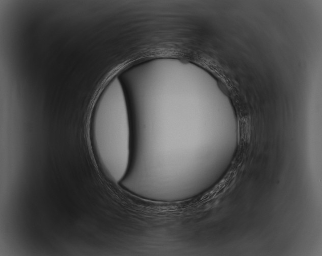 X0000098090147200804040733