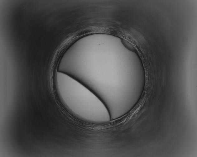 X0000098090149200804040733