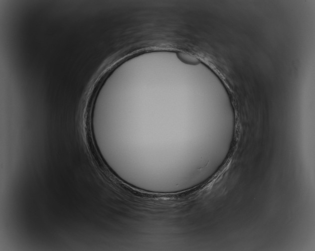 X0000098090151200804040733