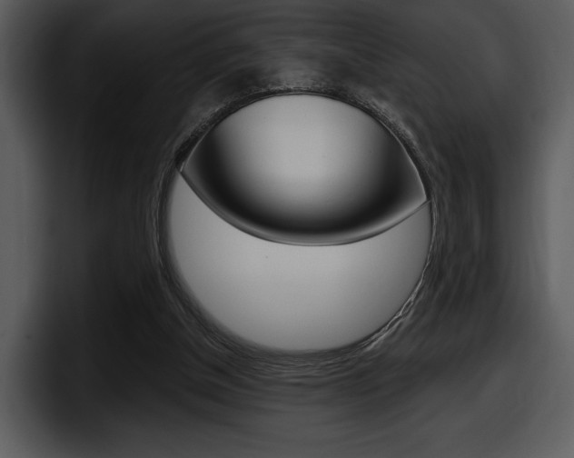 X0000098090154200804040733