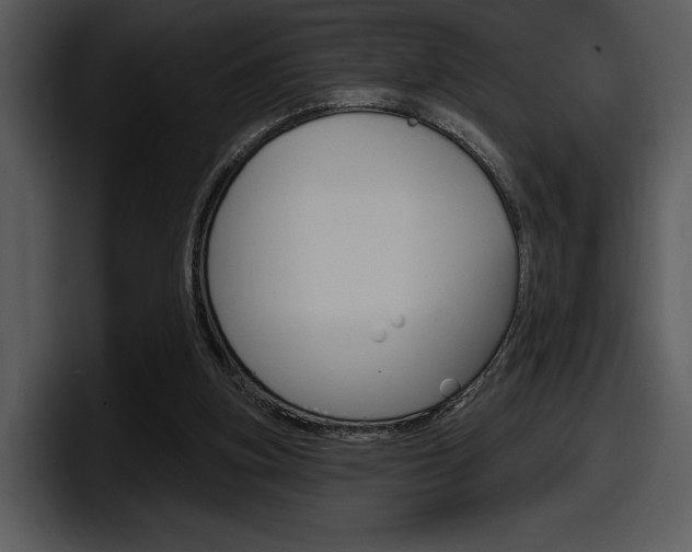 X0000098090155200804040733