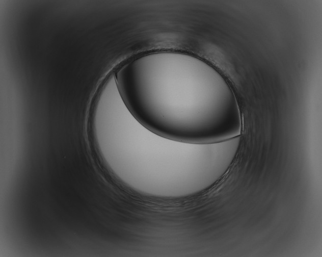 X0000098090156200804040733