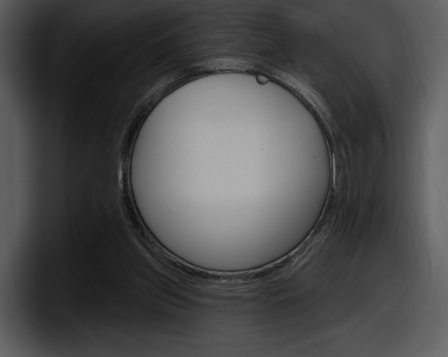 X0000098090157200804040733