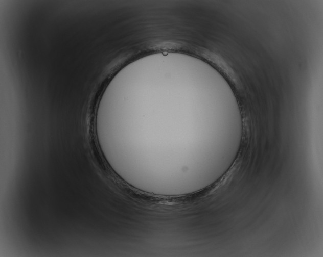 X0000098090159200804040733