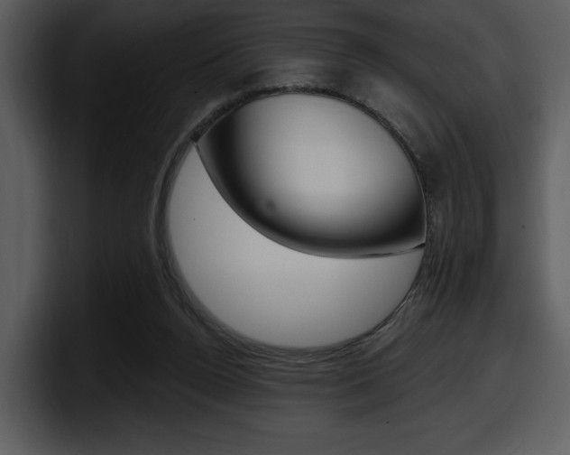 X0000098090160200804040733