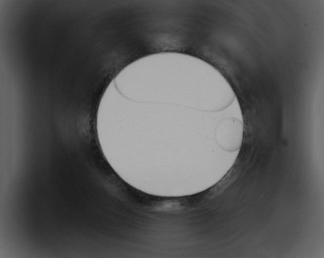 X0000098090162200804040733