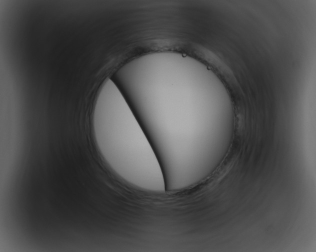 X0000098090165200804040733