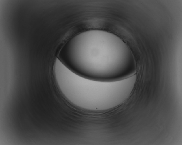 X0000098090168200804040733
