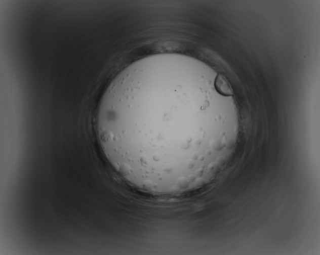 X0000098090169200804040733