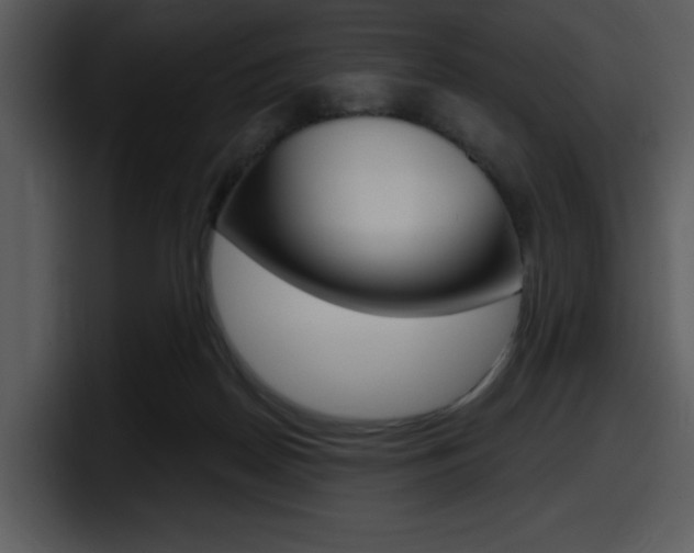 X0000098090170200804040733