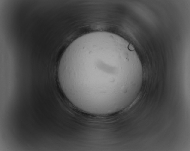 X0000098090171200804040733