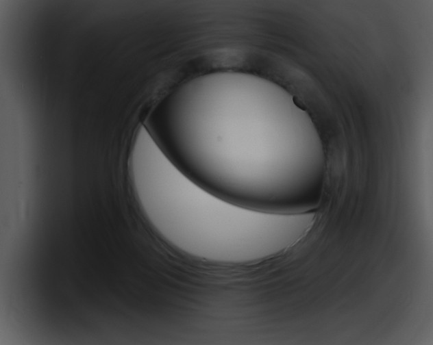 X0000098090172200804040733