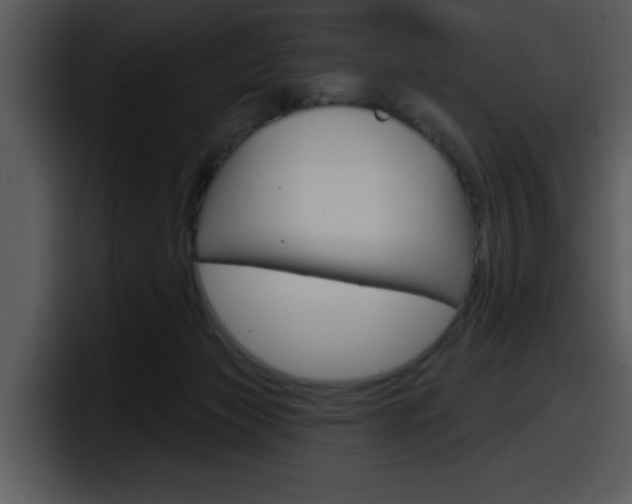 X0000098090173200804040733