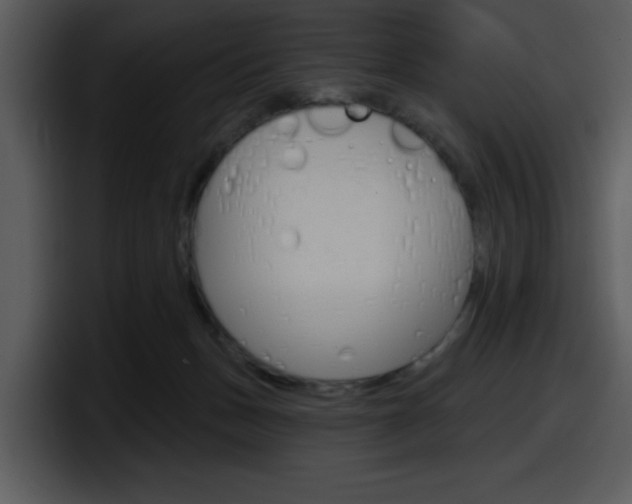 X0000098090175200804040733