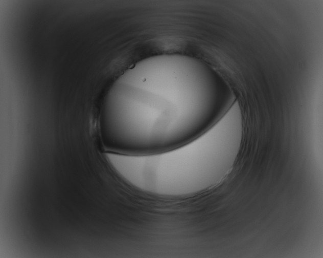 X0000098090176200804040733