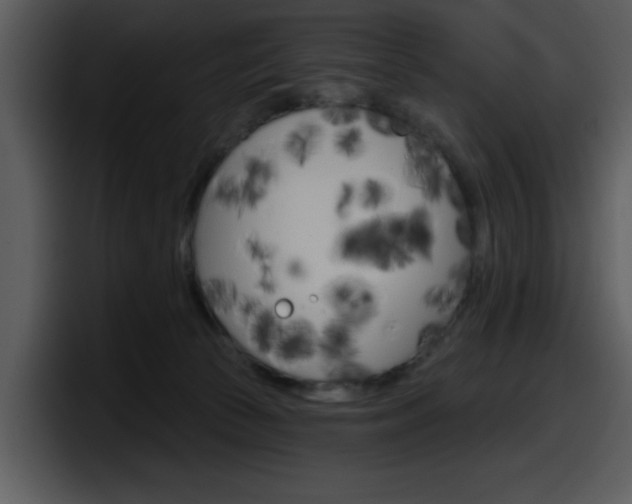 X0000098090177200804040733