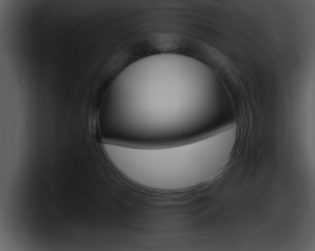 X0000098090180200804040733