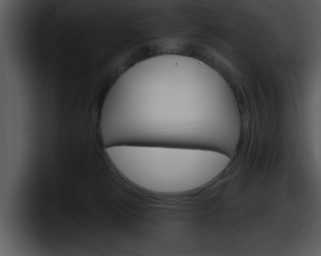 X0000098090181200804040733