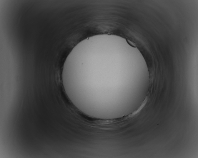 X0000098090182200804040734