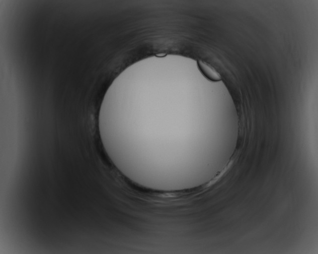 X0000098090183200804040734