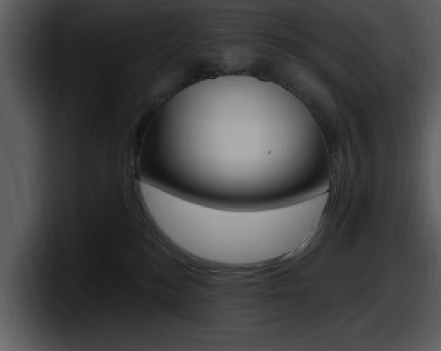 X0000098090184200804040734
