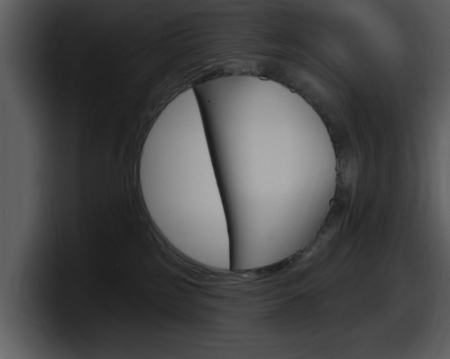X0000098090185200804040734