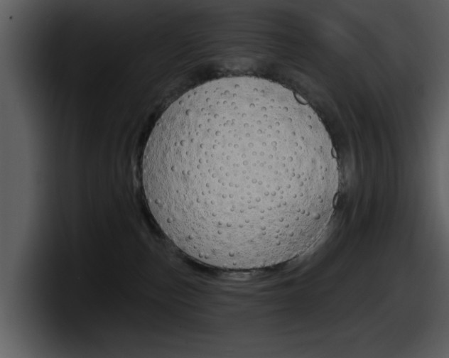 X0000098090187200804040734