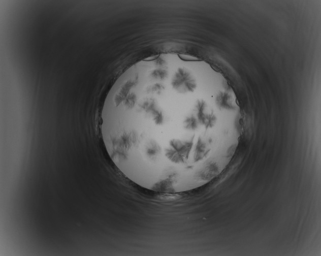 X0000098090189200804040734