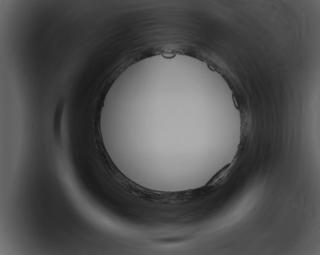 X0000098090191200804040734