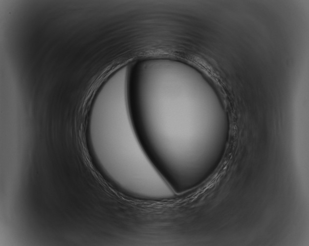 X0000098090193200804040733
