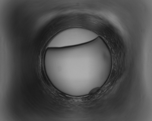 X0000098090194200804040733