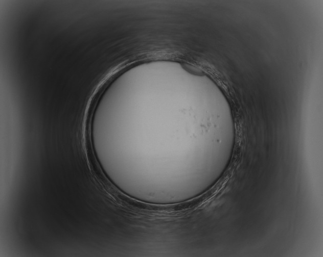 X0000098090196200804040733