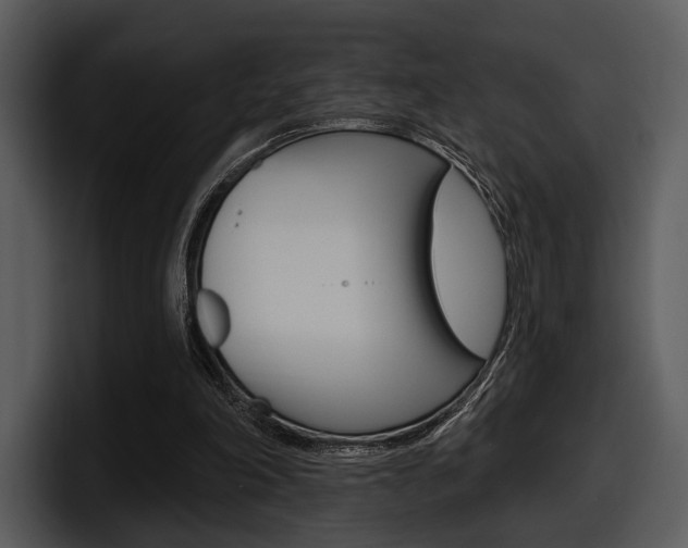 X0000098090198200804040733