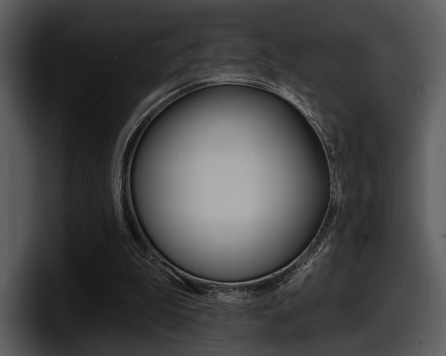 X0000098090199200804040733