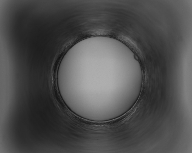 X0000098090202200804040733