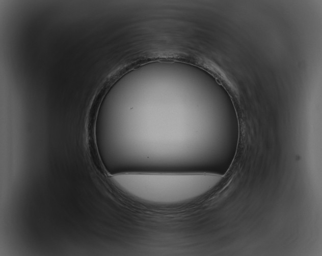 X0000098090203200804040733