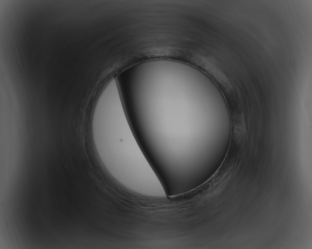 X0000098090207200804040733