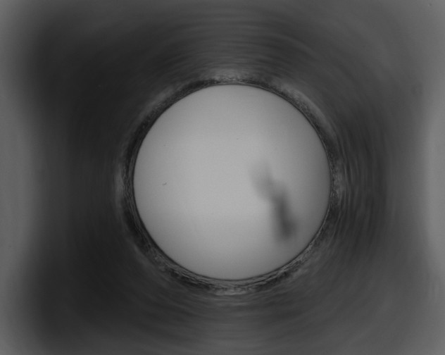 X0000098090208200804040733