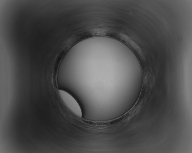 X0000098090209200804040733