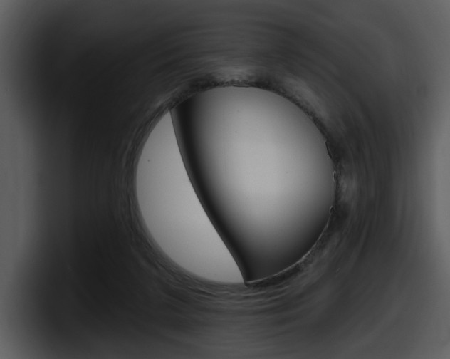 X0000098090211200804040733