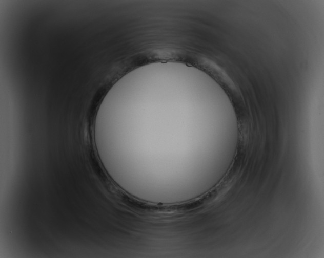 X0000098090213200804040733