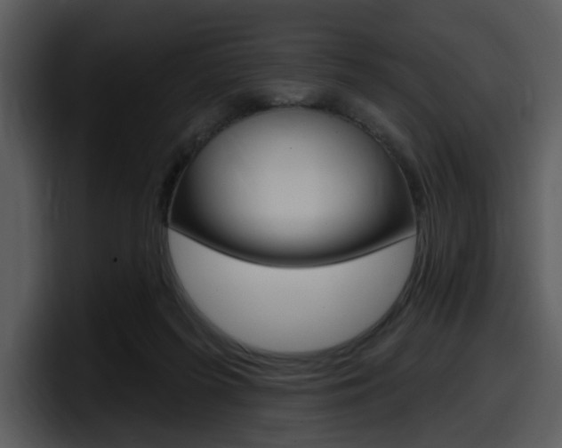 X0000098090215200804040733